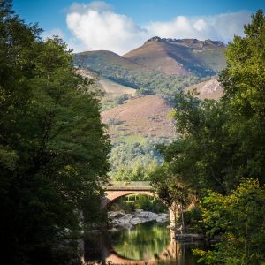 Pont sur la rivière de Saint-Martin d'Arrossa